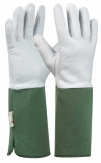 GEBOL - TOMMI ROSE zahradní rukavice zelené - velikost 10 (blistr)